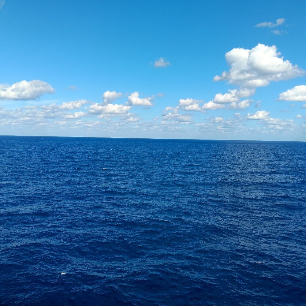 Meet your Posher, Ken